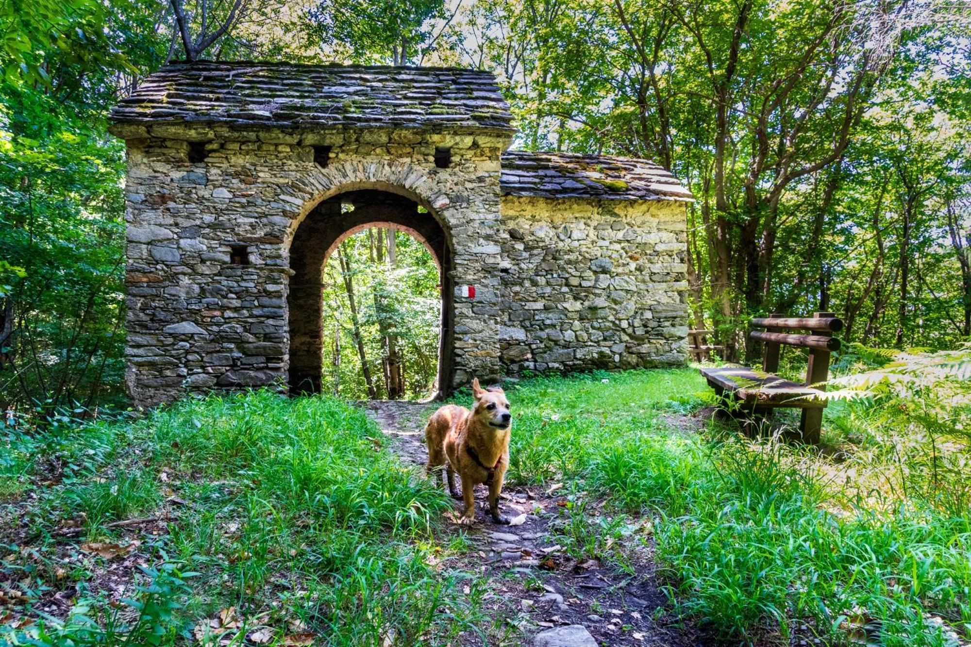 Casa del Borgo Aria&Acqua sul Lago Maggiore Maccagno Esterno foto