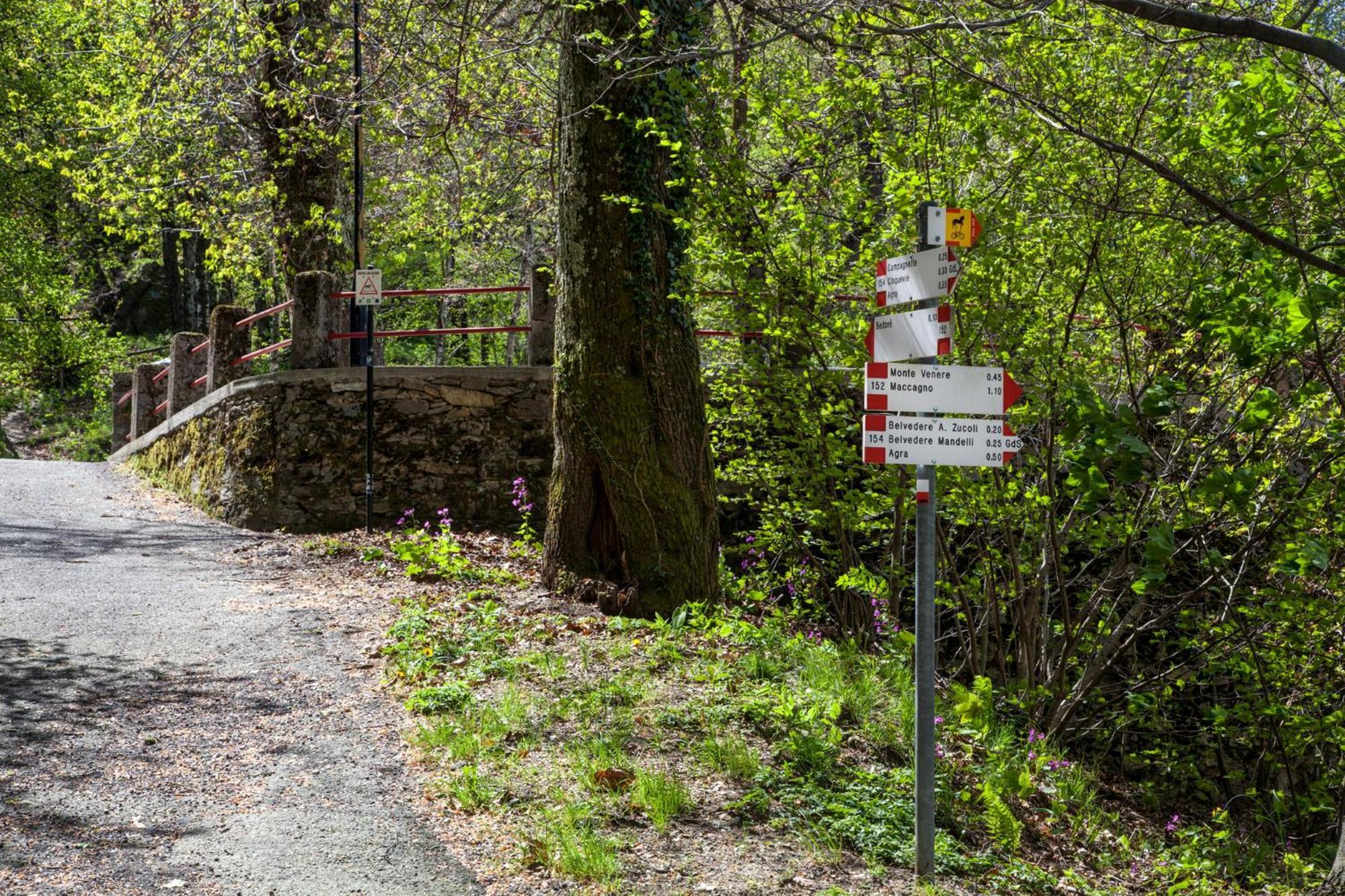 Casa del Borgo Aria&Acqua sul Lago Maggiore Maccagno Esterno foto