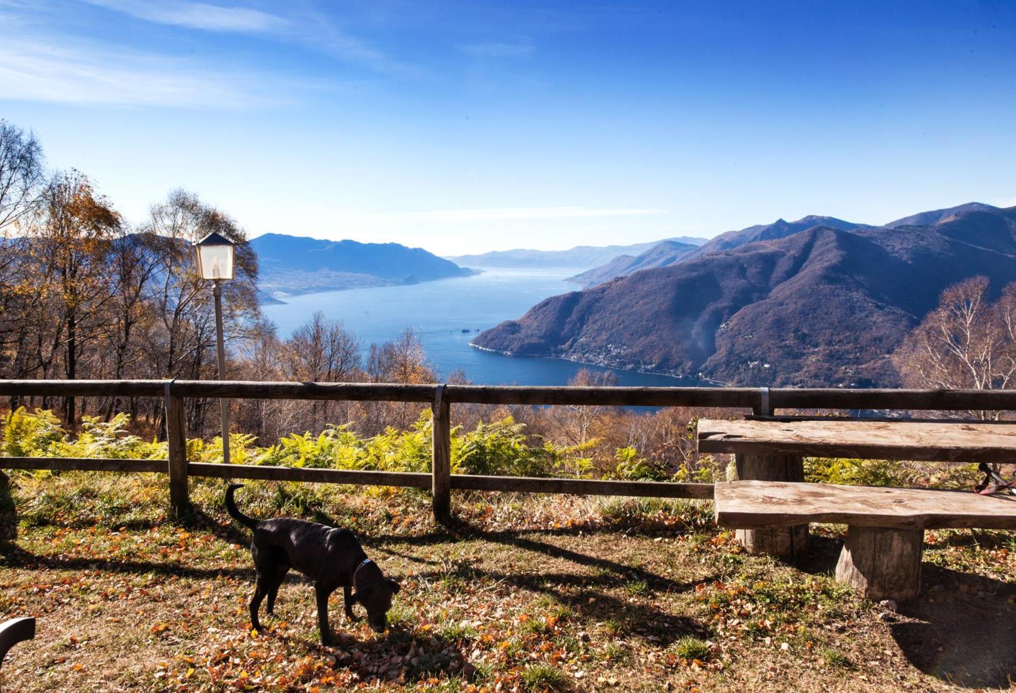 Casa del Borgo Aria&Acqua sul Lago Maggiore Maccagno Esterno foto